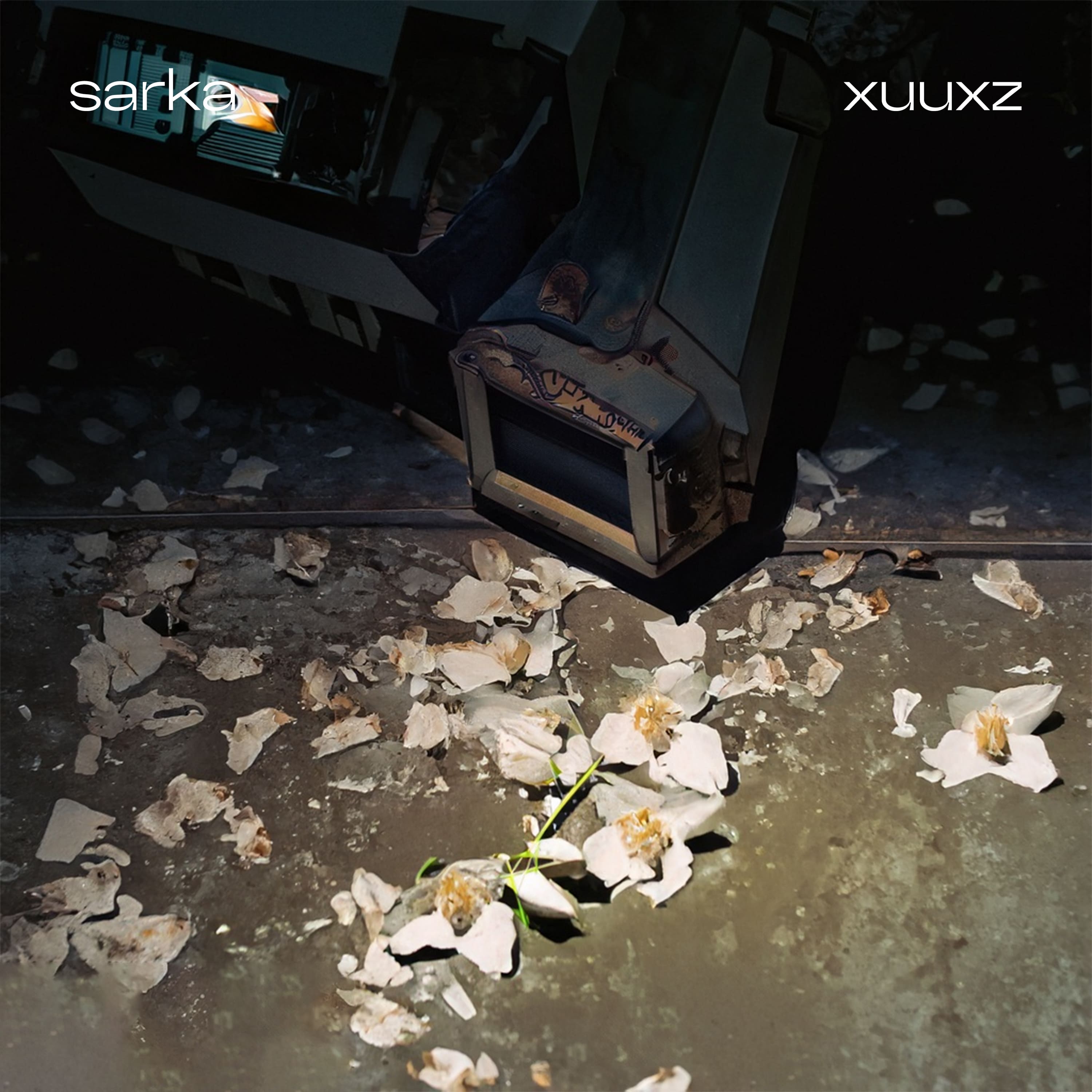 cover art